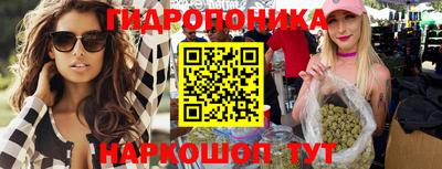 хмурый Гусь-Хрустальный