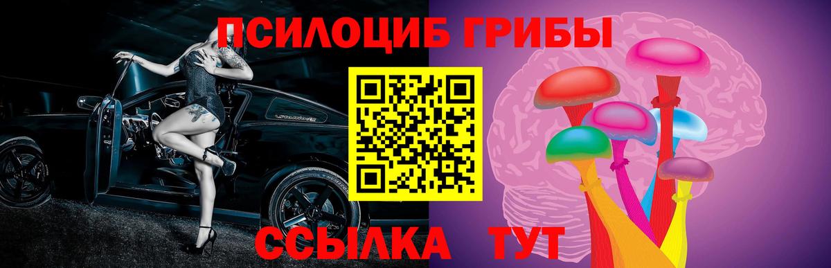 Галлюциногенные грибы Psilocybe  Псилоцибиновые грибы прущие грибы  Вход с VPN  Нальчик 